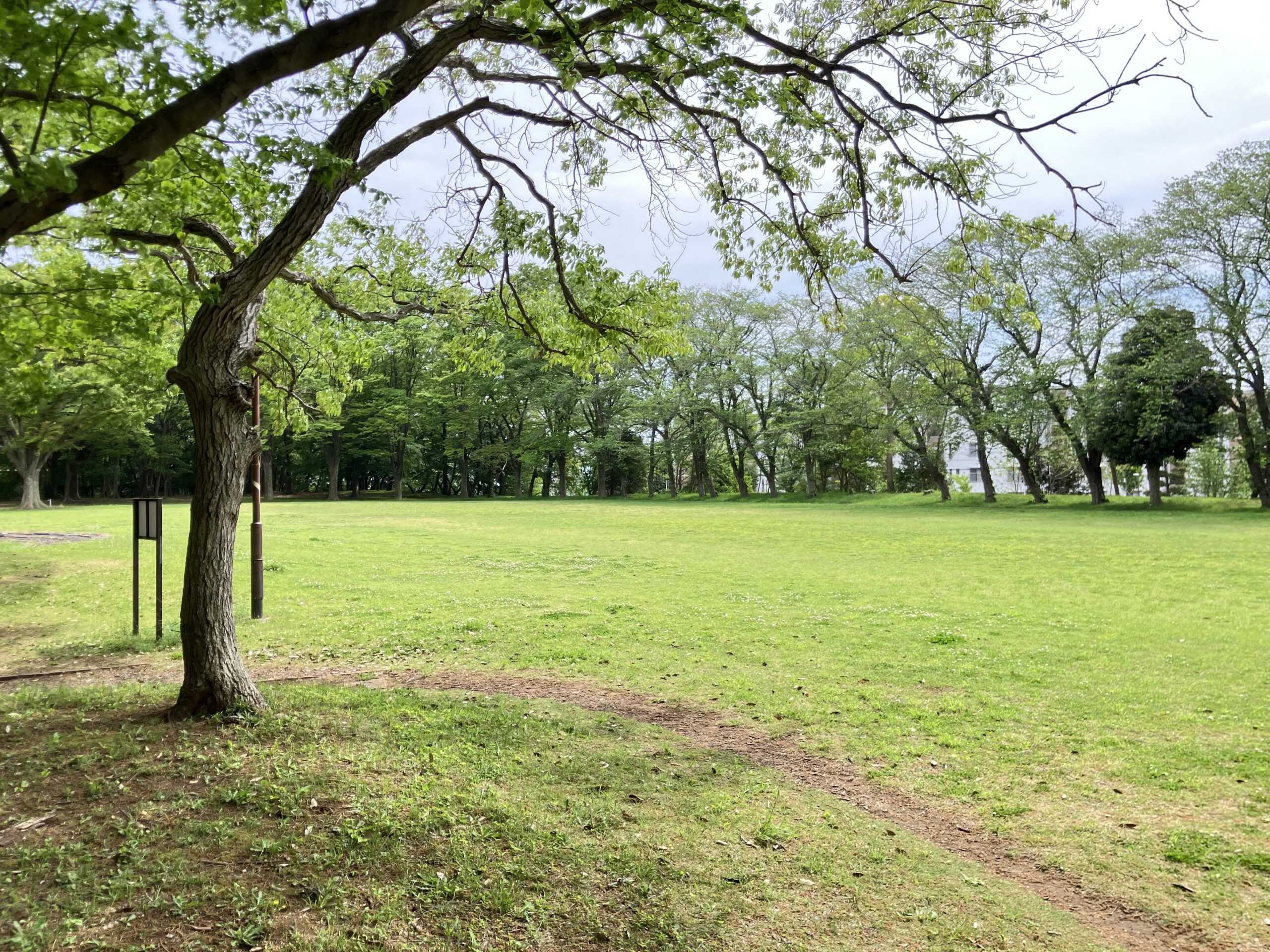村上緑地公園の芝生広場