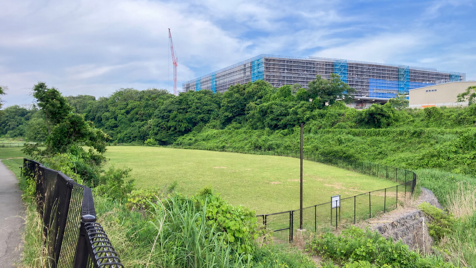 北東部近隣公園の広い芝生スペース