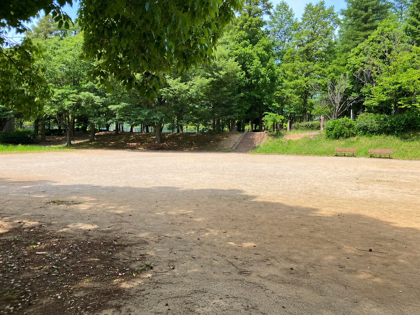 萱田地区公園の走り回れる広場