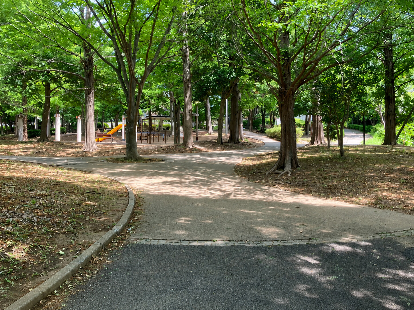 萱田地区公園の木陰が続く並木の園路