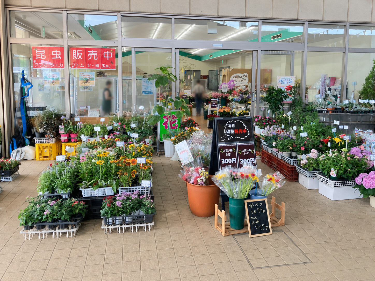 やちよ農業交流センターの農産物直売所クラフトの花や苗の販売と昆虫販売中の看板