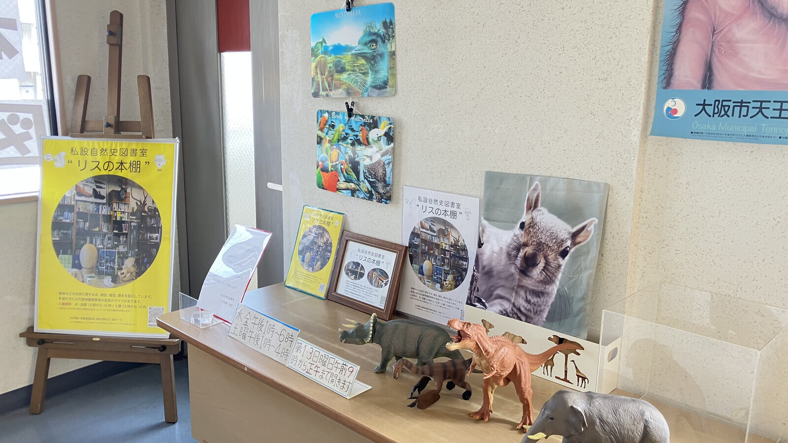 リスの本棚の展示（リスや恐竜の模型）