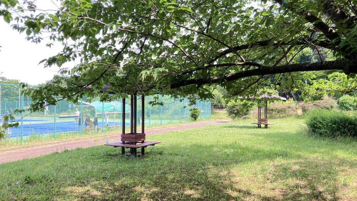 八千代総合運動公園の桜の木広場とテニスコート