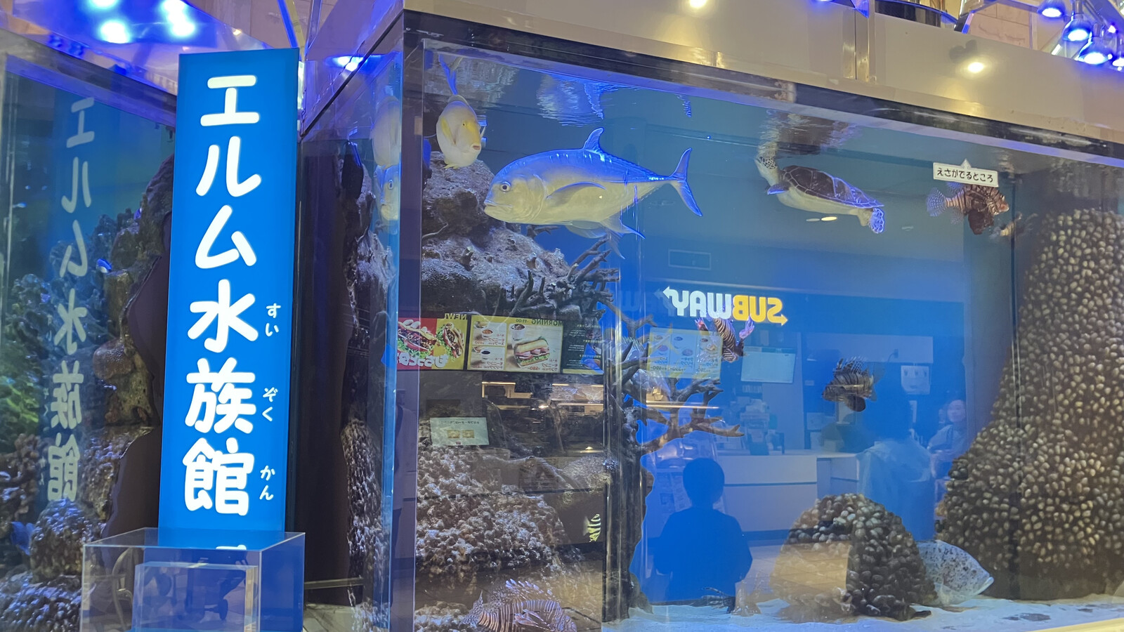 ユアエルム八千代台店 1階のエルム水族館の水槽