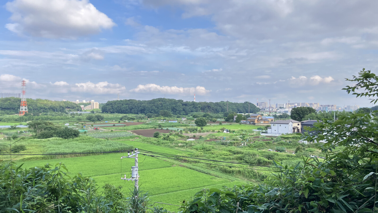 飯綱近隣公園の高台から望む田園風景